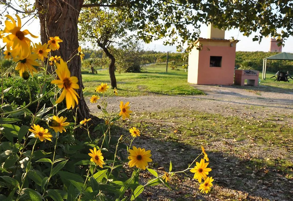 Fattoria Santa Lucia Le Tagliate Aparthotel San Gervasio   San Gervasio (Pisa)